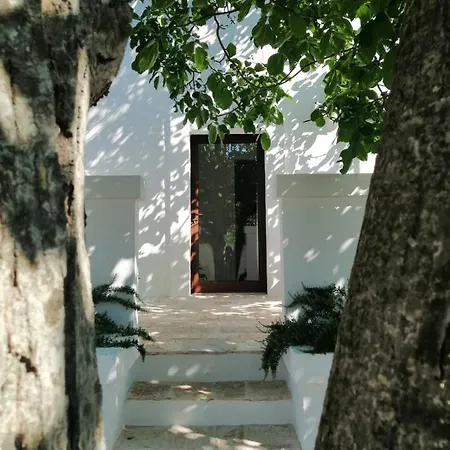 Pensjonat Intornoalnoce Cisternino