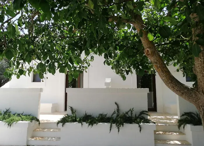 Intornoalnoce Cisternino